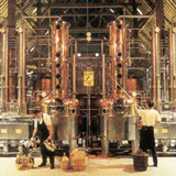 DISTILLERY OF BIERCEE