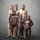 Royal Belgian Institute of Natural Sciences in Brussels