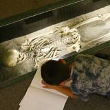 Royal Museum of Mariemont