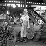 Museum of Walloon Life in Liège