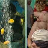 Liège Aquarium and Museum