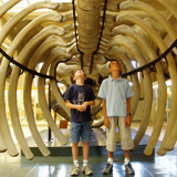 Aquarium-muséum de Liège