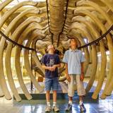 Liège Aquarium and Museum