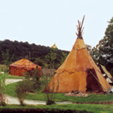 The 'Malgré Tout' Museum & Prehistoric Park in Treignes