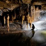 The Domain of the Caves of Han, Han-sur-Lesse