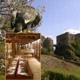 Bouillon Castle and its Birds of Prey Show
