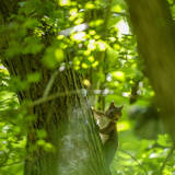 Parc Naturel Viroin-Hermeton - Viroin-Hermaton Nature Park, Namur