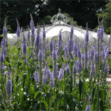 NATIONAL BOTANIC GARDEN OF BELGIUM