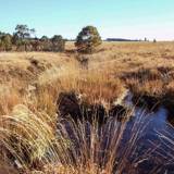 Natural Centre of Botrange