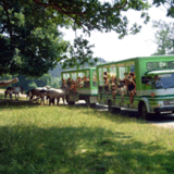 The Domaine of the Caves of Han - Wildlife Reserve