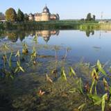 Castle of Lavaux-Sainte-Anne