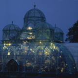 <strong>19/04/2013>12/05/2013 ></strong> Visit the Royal Greenhouses in Laeken