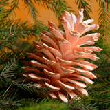 <strong>15/12/2013 ></strong> Walnut Fair and December Historical Perimetre Walk in Bastogne