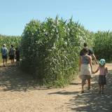 Durbuy Labyrinth - An extraordinary attraction in Belgium