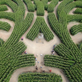 The Barvaux Labyrinth, a magical adventure