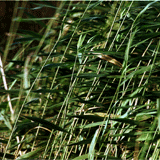 Mozet, un des Plus Beaux Villages de Wallonie