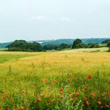 Natural Park of the Valleys of the Burdinale and of the Mehaigne