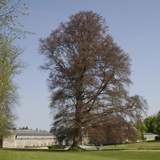 PARK OF MODAVE CASTLE