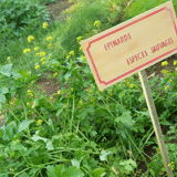 Val De Lesse Tourism Office