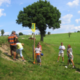 ACCUEIL CHAMPETRE EN WALLONIE