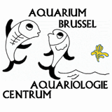 Aquarium de Bruxelles