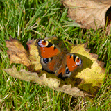 Ny, un des Plus Beaux Villages de Wallonie
