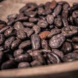 TRADITIONAL CHOCOLATE FACTORY OF SAMREE