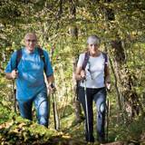 Parc Naturel du Pays des Collines -Pays des Collines Nature Park