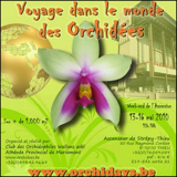 ORCHIDAYS