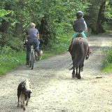 LA PARADA "EDUCATIONAL HORSE FARM"