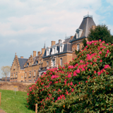 Dans notre domaine, vous partez en quête du goût...