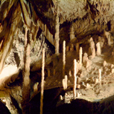 La nature, grandeur nature