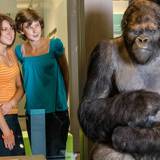 Museum of Natural Sciences for Children in Brussels