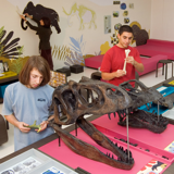 Museum of Natural Sciences for Children