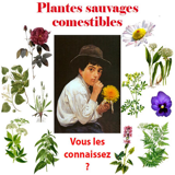 <strong>28/04/2013 ></strong> Journée "Plantes sauvages comestibles" 