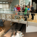 Couple's Visit to the Royal Institute of Natural Sciences