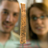 Couple's Visit to the Royal Institute of Natural Sciences