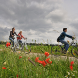 Hike or Bike Ride in the Ardennes €35pp