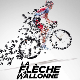 <strong>04/2017 ></strong> The Flèche Wallonne - Bike Race