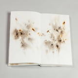 Le très doux feu du dedans- Livres d'artiste et livres-objets