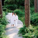 Nature and culture break for €99pp at Dolce La Hulpe Brussels