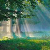 Get away together for a stay in nature, in Vielsalm and Gouvy