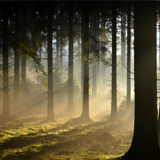 The cuesta route | Cycling routes in Wallonia