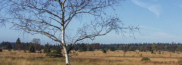 Natural Centre of Botrange