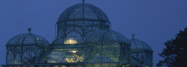 Visite des serres royales de Laeken