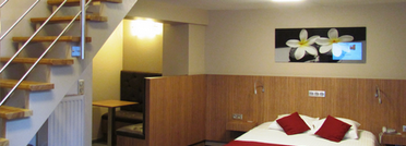 Escapade parc animalier Pairi Daiza àpd 65€ pp, Hôtel Infotel de Mons