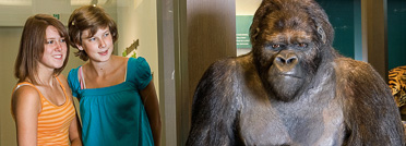 Museum of Natural Sciences for Children in Brussels