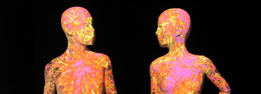 Les amoureux visitent le Muséum des Sciences naturelles