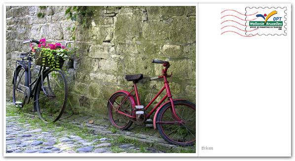 Preview of your postcard