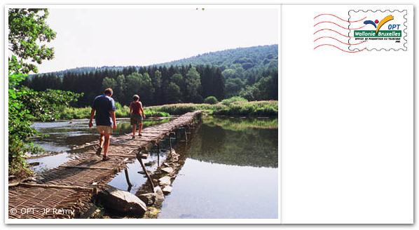 Preview of your postcard